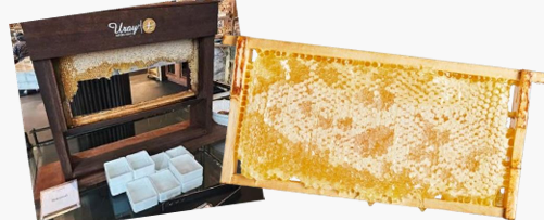 URAY COMB HONEY (WHOLE FRAME)
